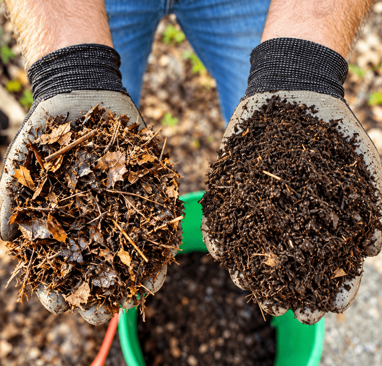 Organic Leaf Compost 1kg – Ready to Use Soil Conditioner — view 2